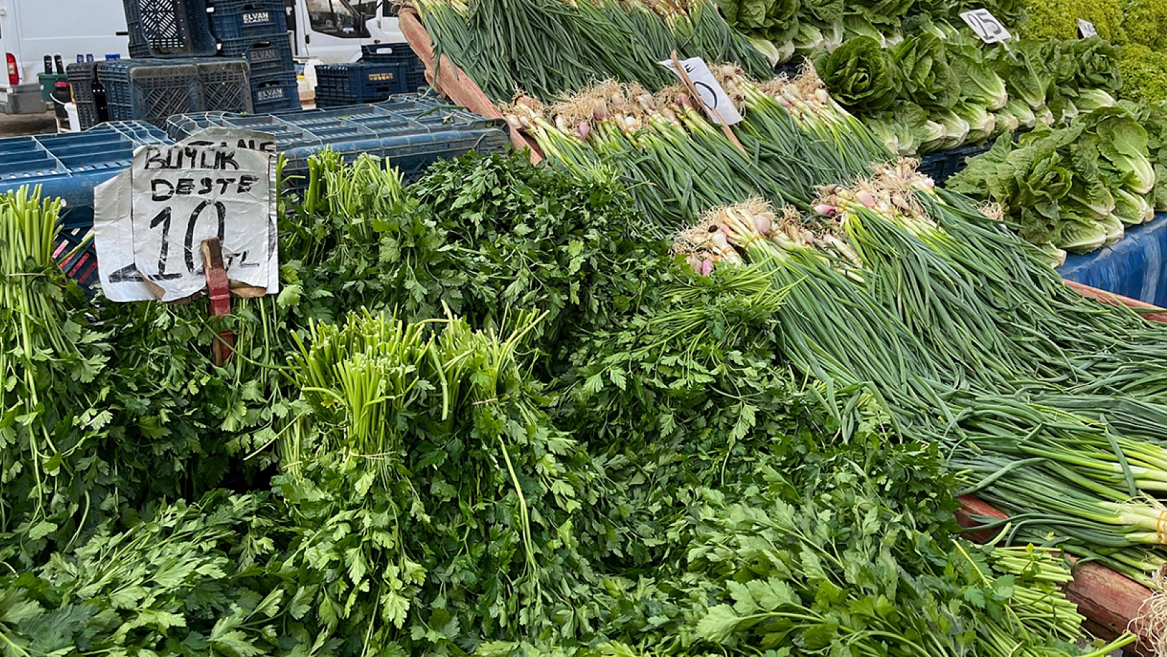 Elazığ semt pazarında güncel meyve ve sebze fiyatları