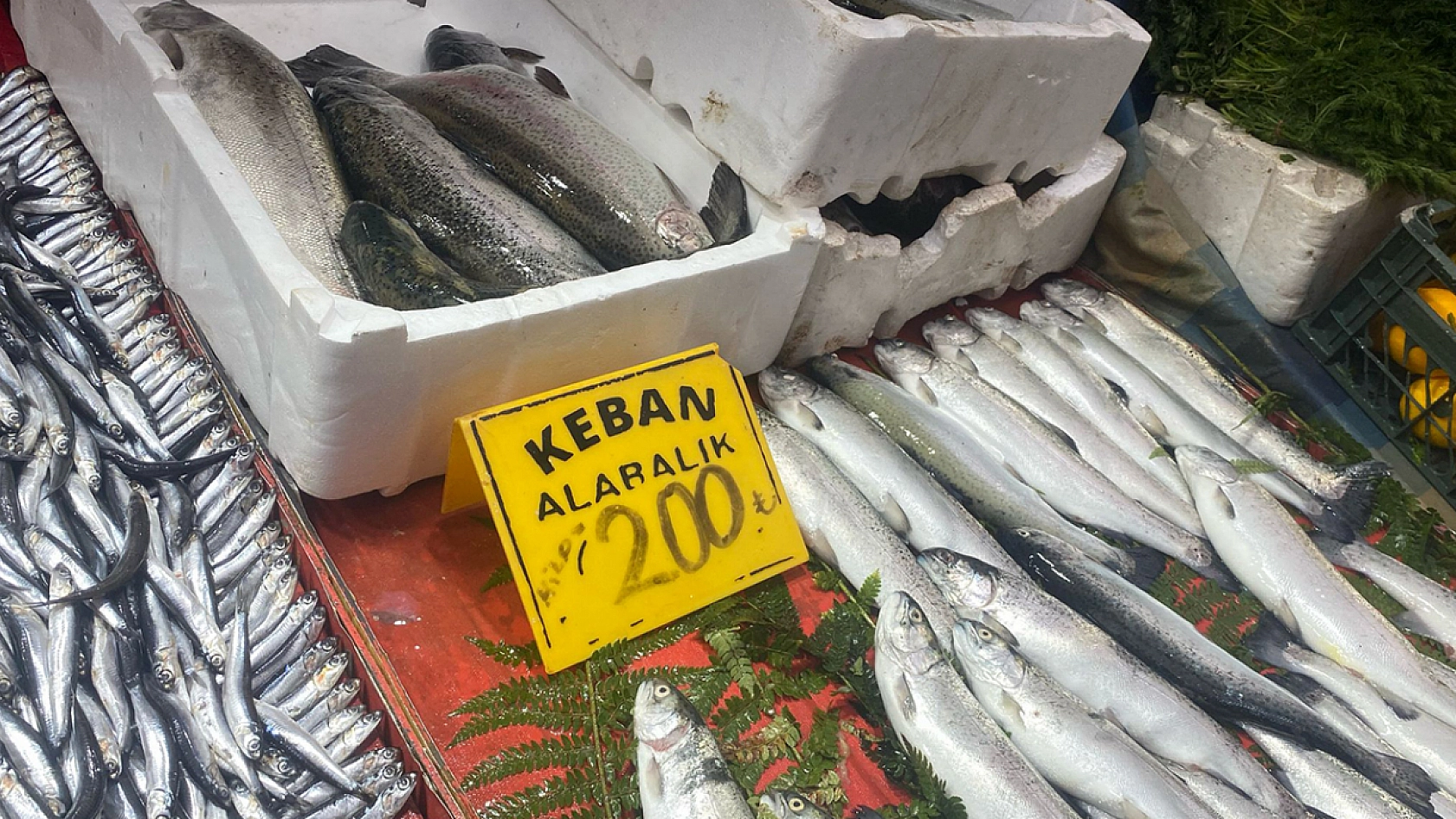 Elazığ'da tezgahlar dolu, talep yoğun