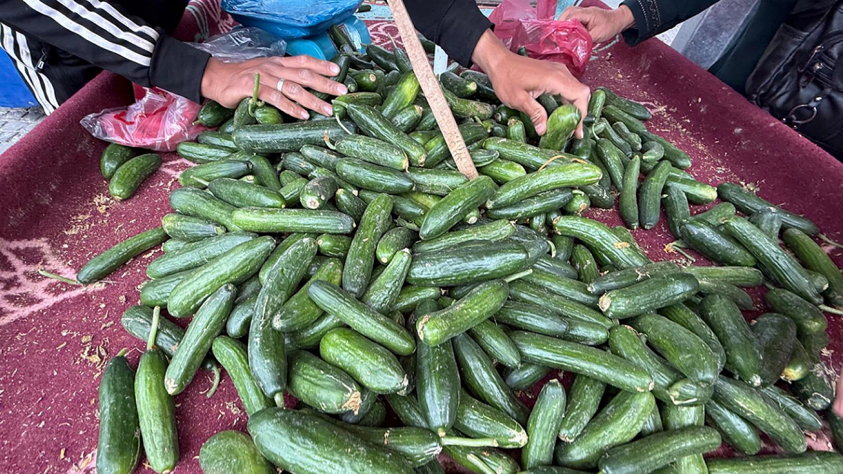 Elazığ'da kilosu 15 lira oldu yetişen aldı