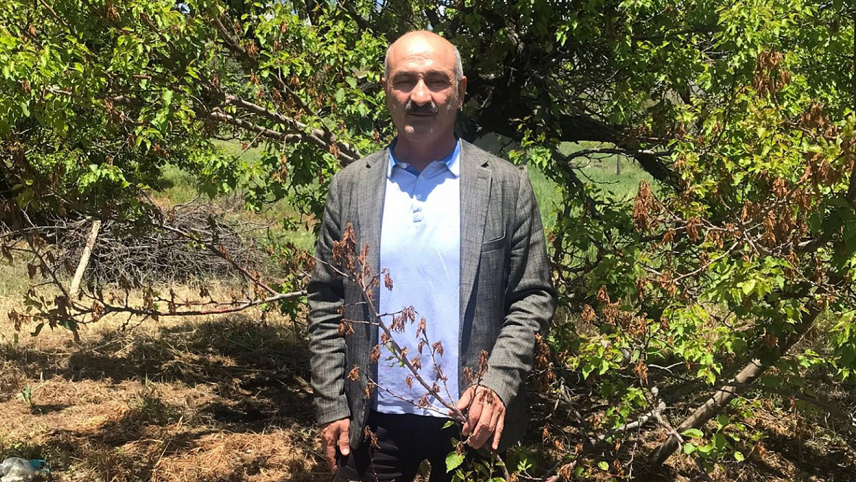 Elazığ'da kuru kayısı fiyatları uçtu