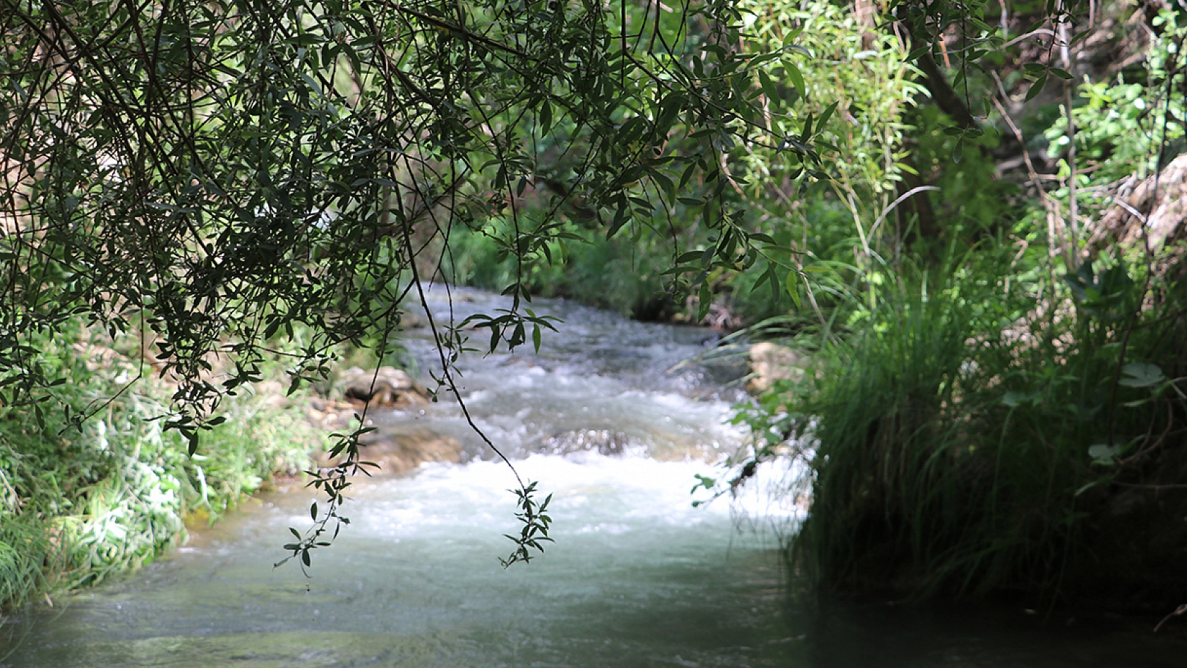 Palu'da doğayla baş başa kalabileceğiniz gizli bir cennet var: Teke deresi