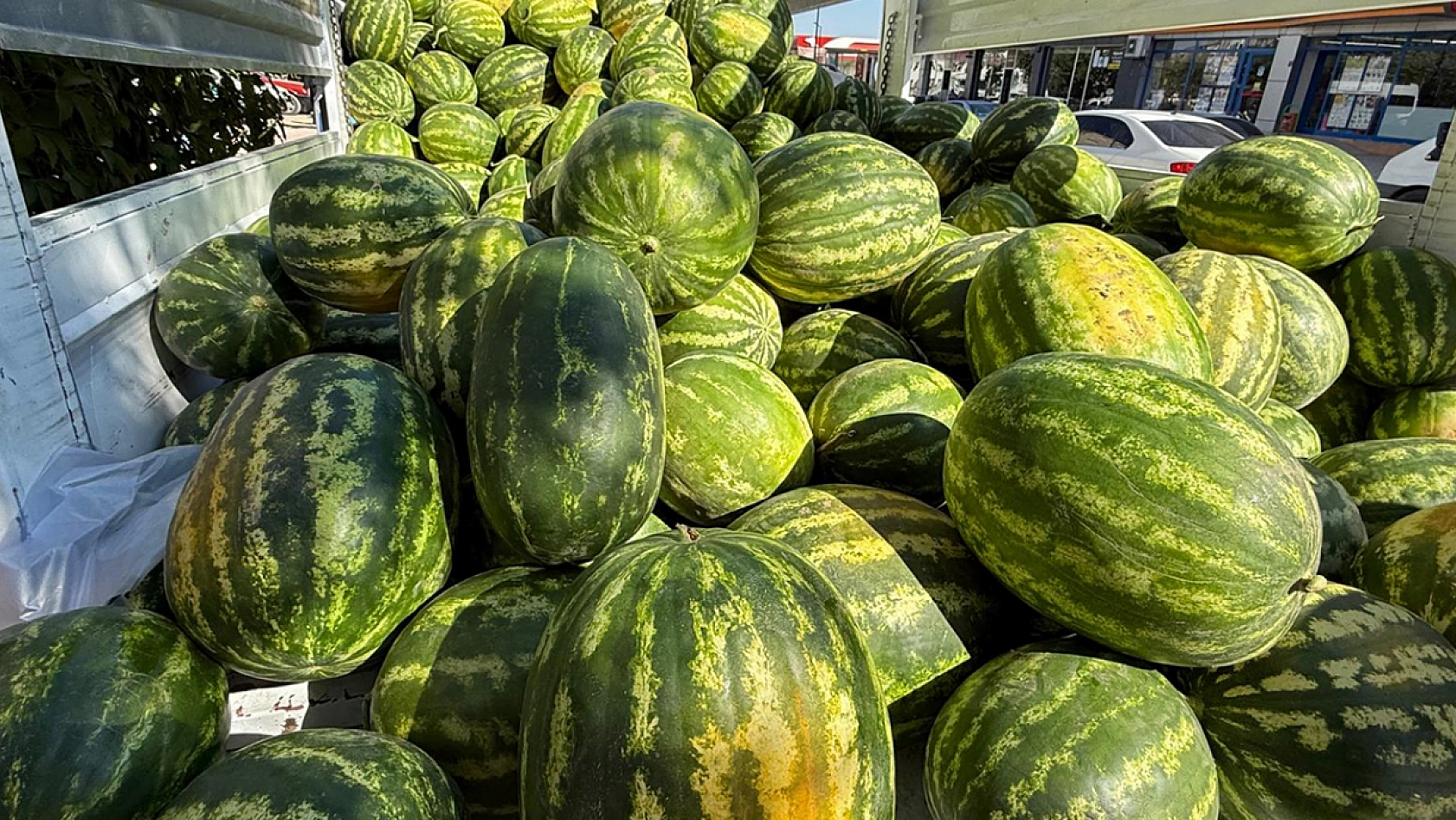 Elazığ'da fiyatı bedavadan biraz pahalı