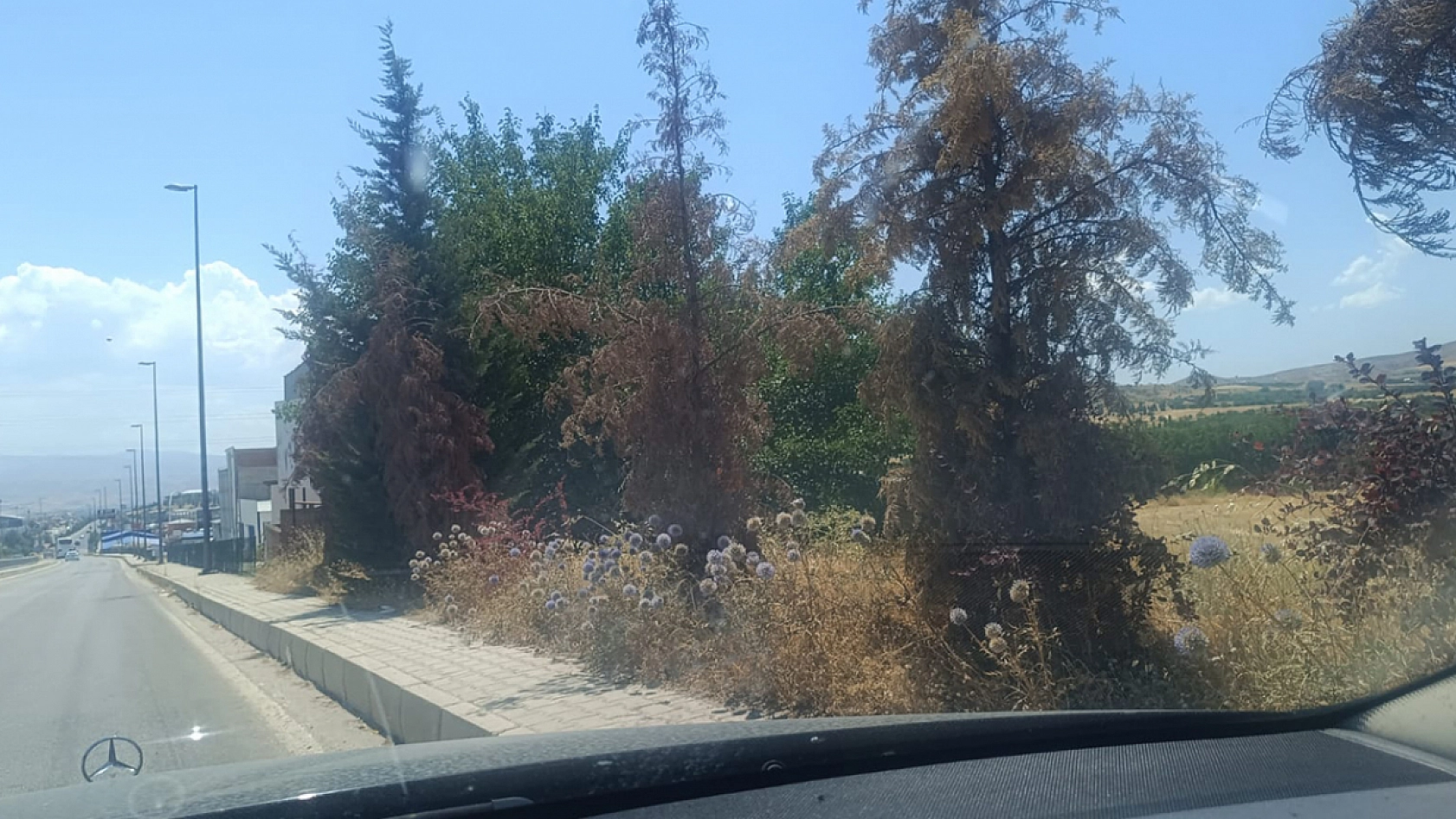 Bu görüntüler Elazığ'a yakışıyor mu?
