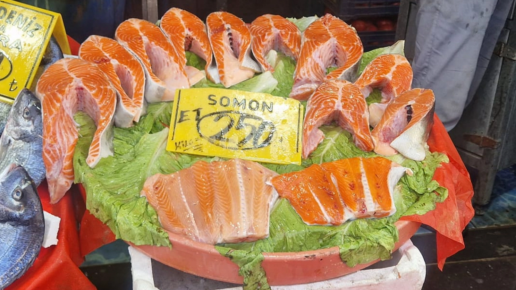 Elazığ'da balık sezonu açıldı: En sevilen balığın fiyatını duyanın dudağı uçukluyor