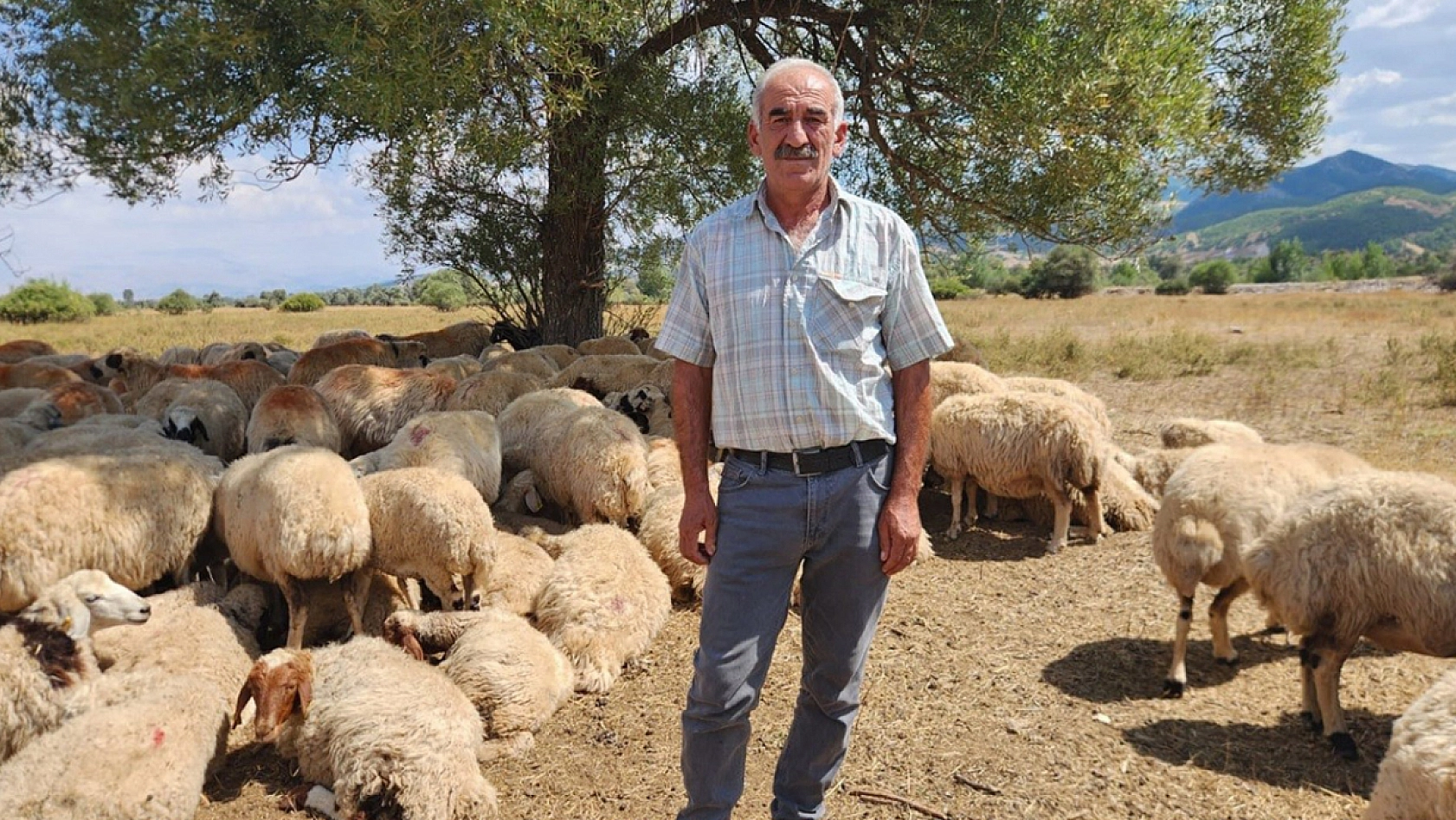 Tunceli'de çoban krizi: bir aylık ücret rekor seviyede