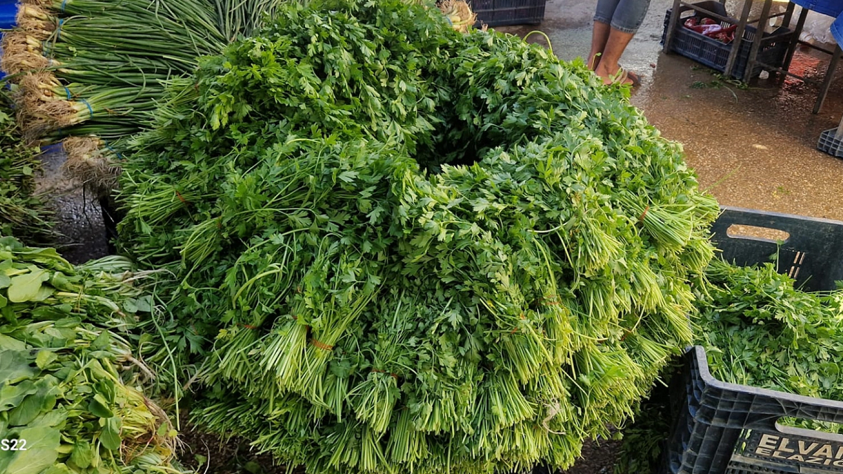 Elazığ'da pazarcılar: 'Yeşillikte verim yüksek, fiyatlar uygun'