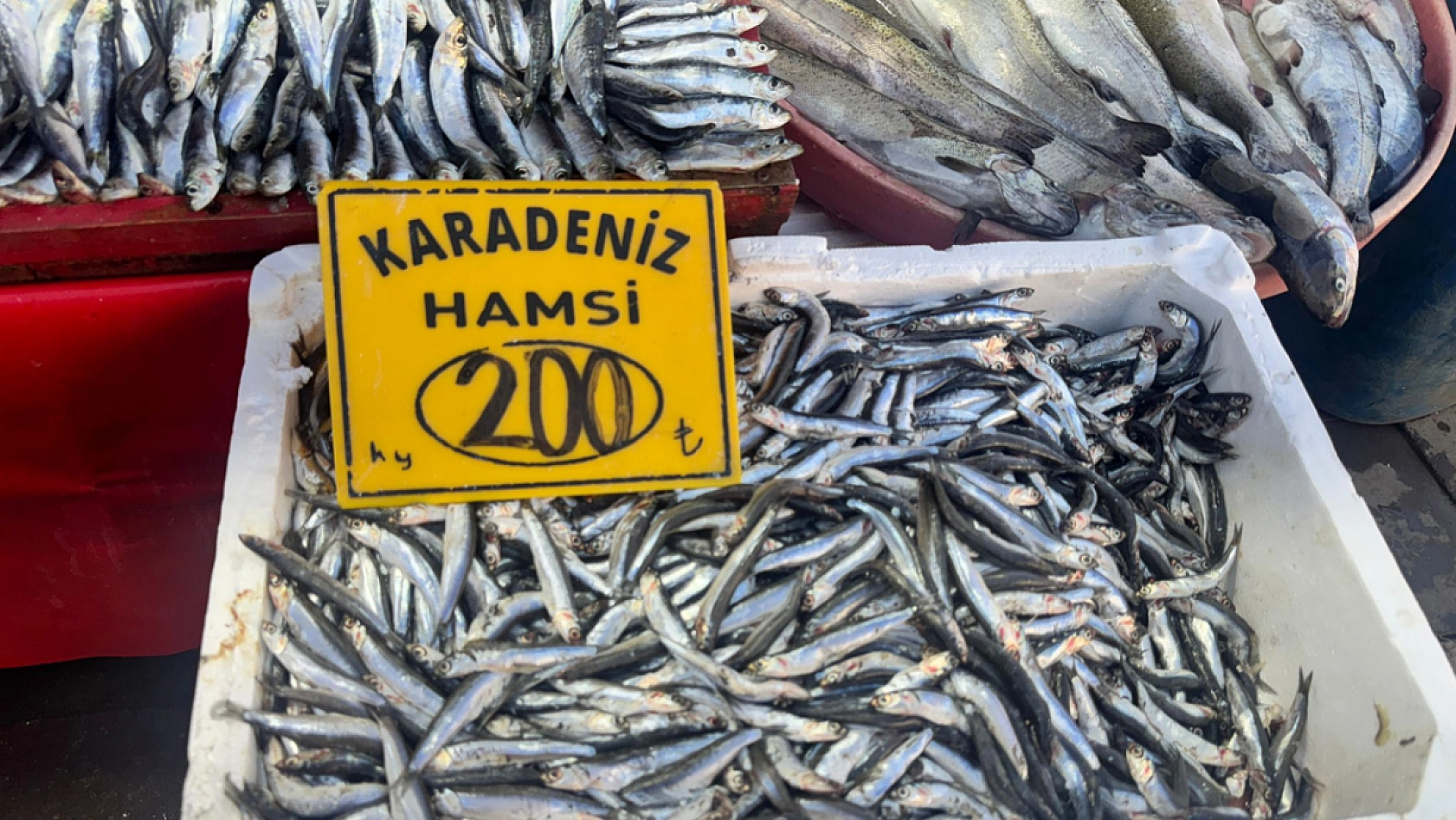 Elazığ'da bu sektörde fiyatlar düştü