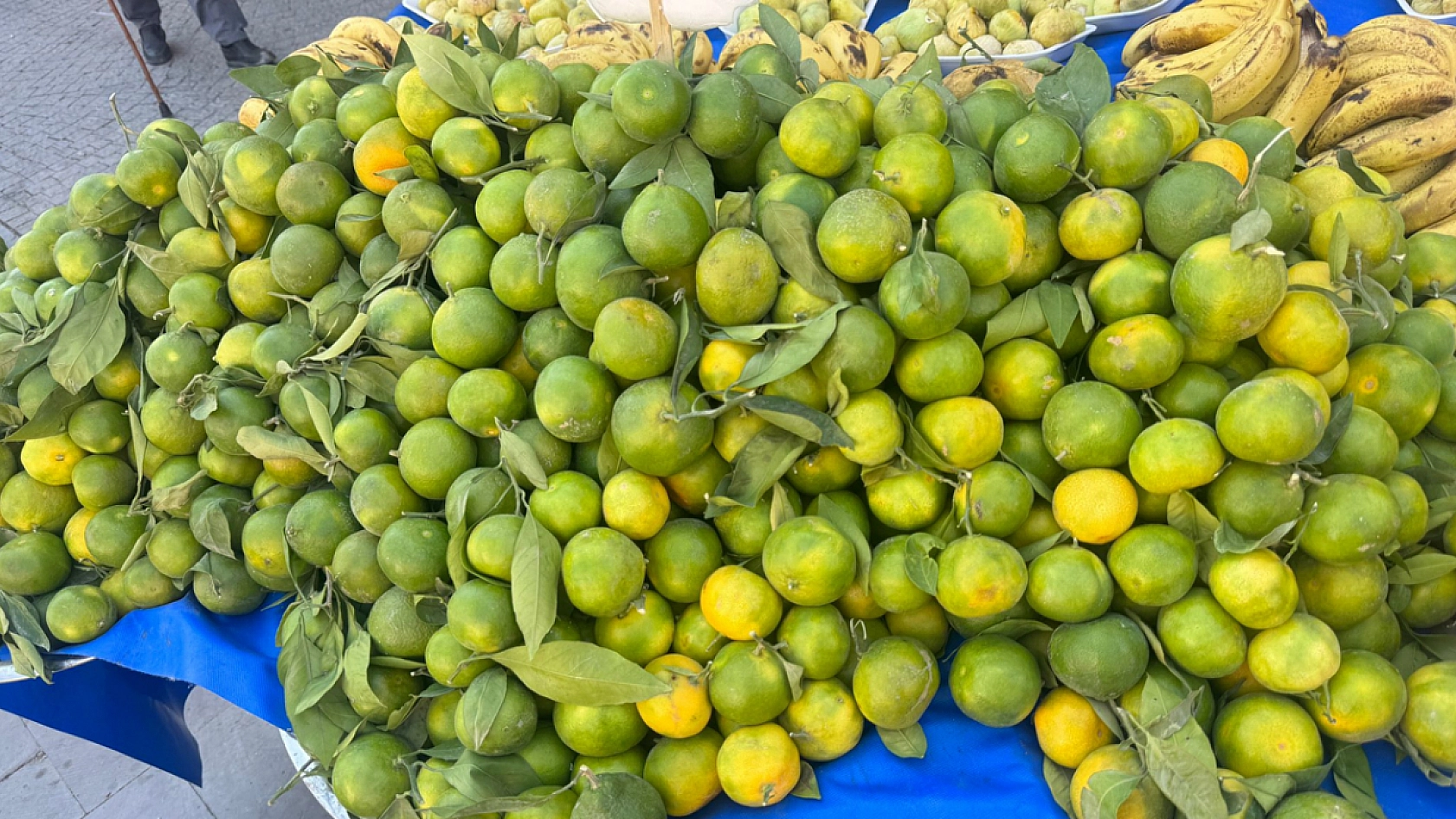 Elazığ'da sezonu dip fiyattan açıldı, kapış kapış satılıyor: Bu yıl vitamine doyacağız