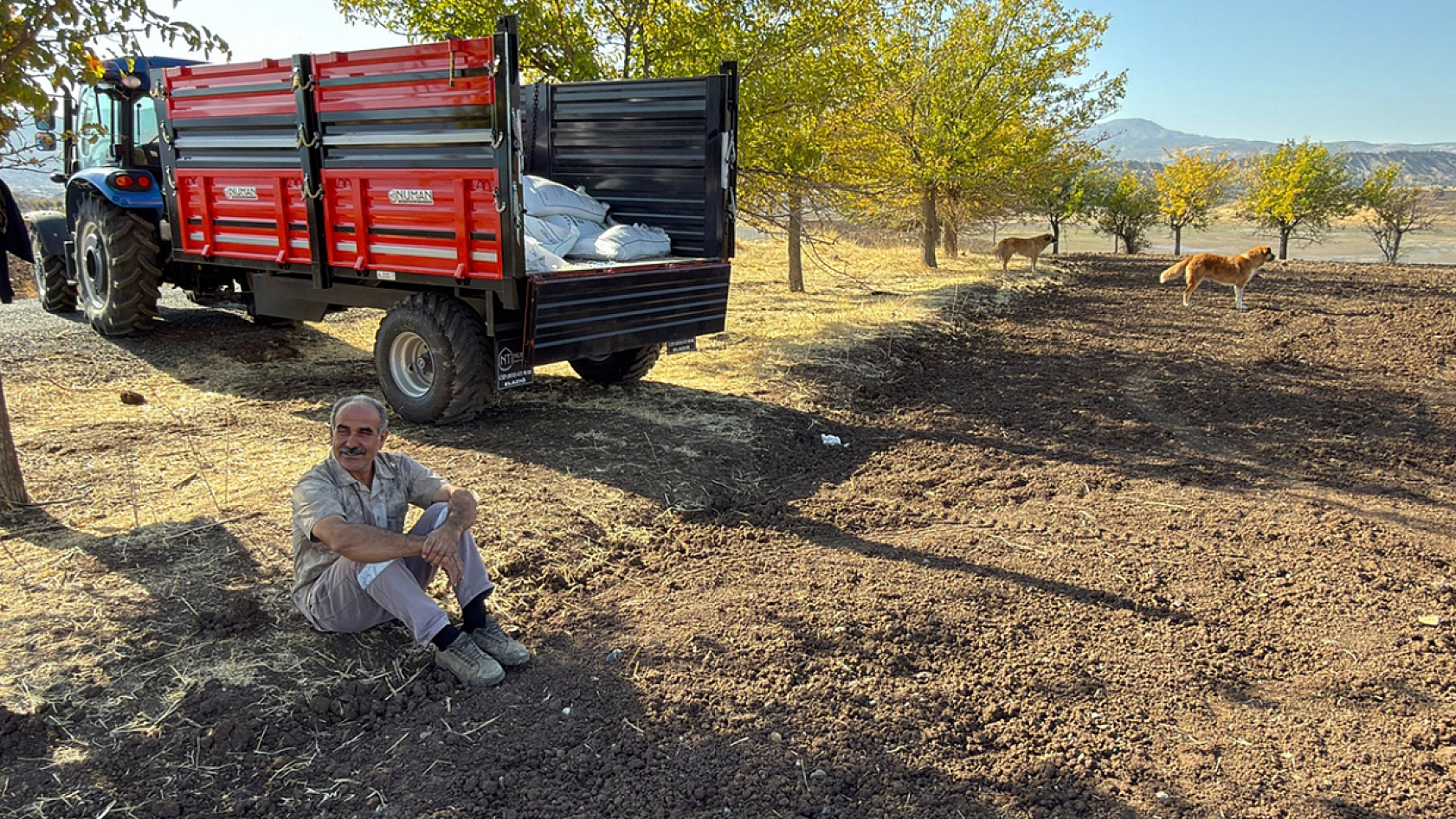 Elazığ'da tohumlar toprakla buluştu