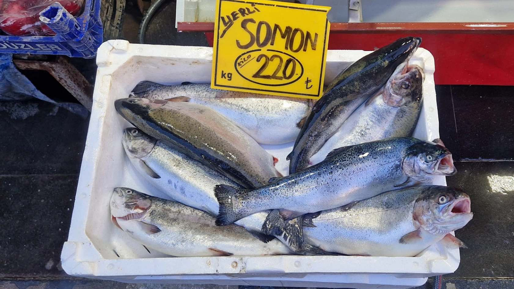 Elazığ'da havalar soğudukça balık tezgahları şenleniyor