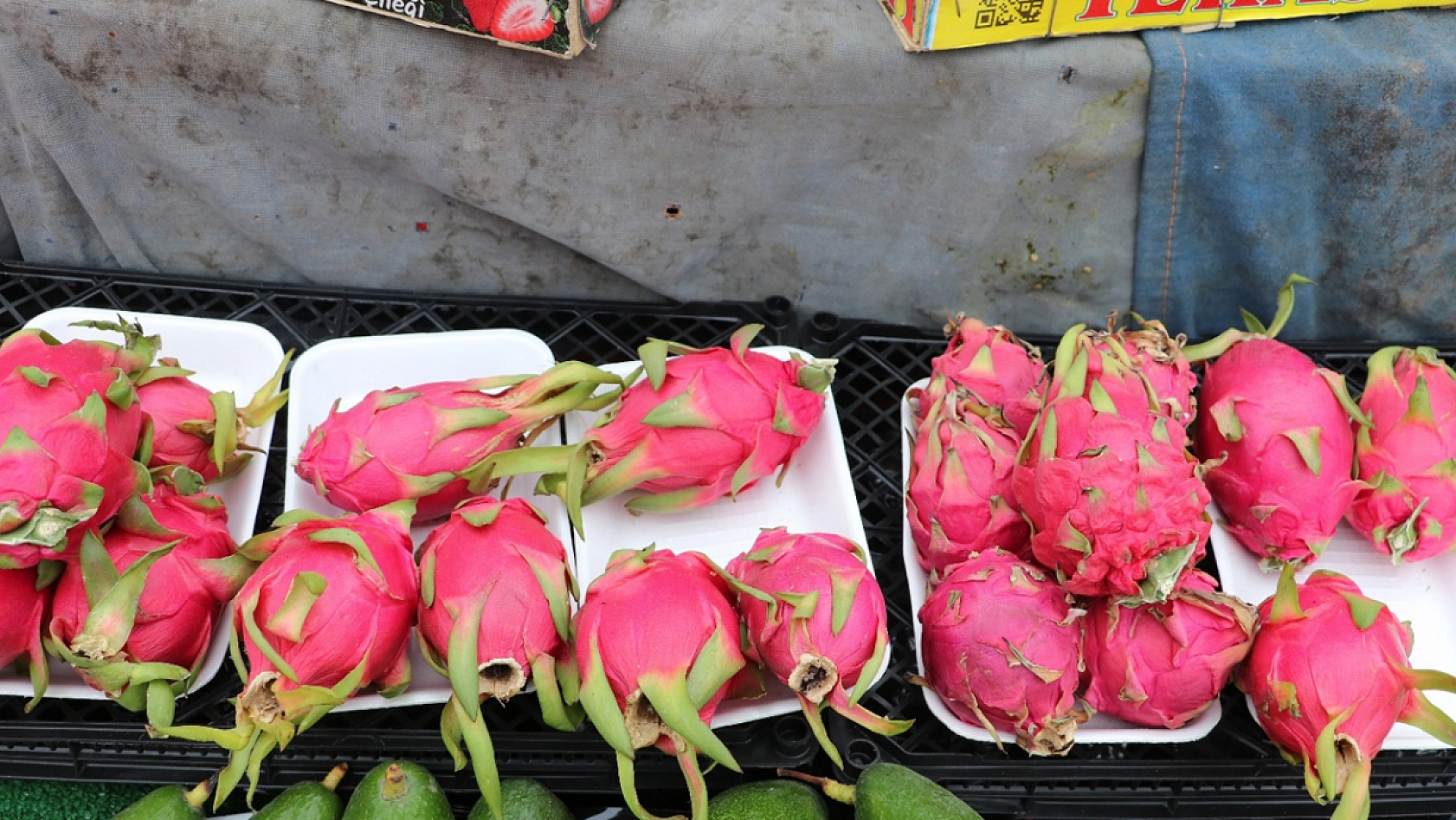 Elazığ'da tropikal meyvelere yoğun ilgi