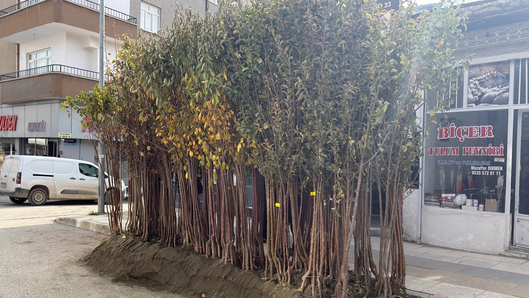 Elazığ dikim zamanı, sertifikasız ürünlerle zaman kaybetmeyin