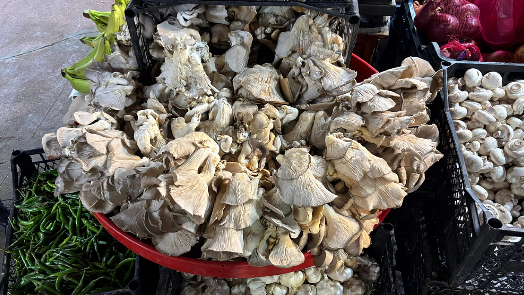 Elazığ'da kışın vazgeçilmez yiyeceği tezgahlardaki yerini aldı