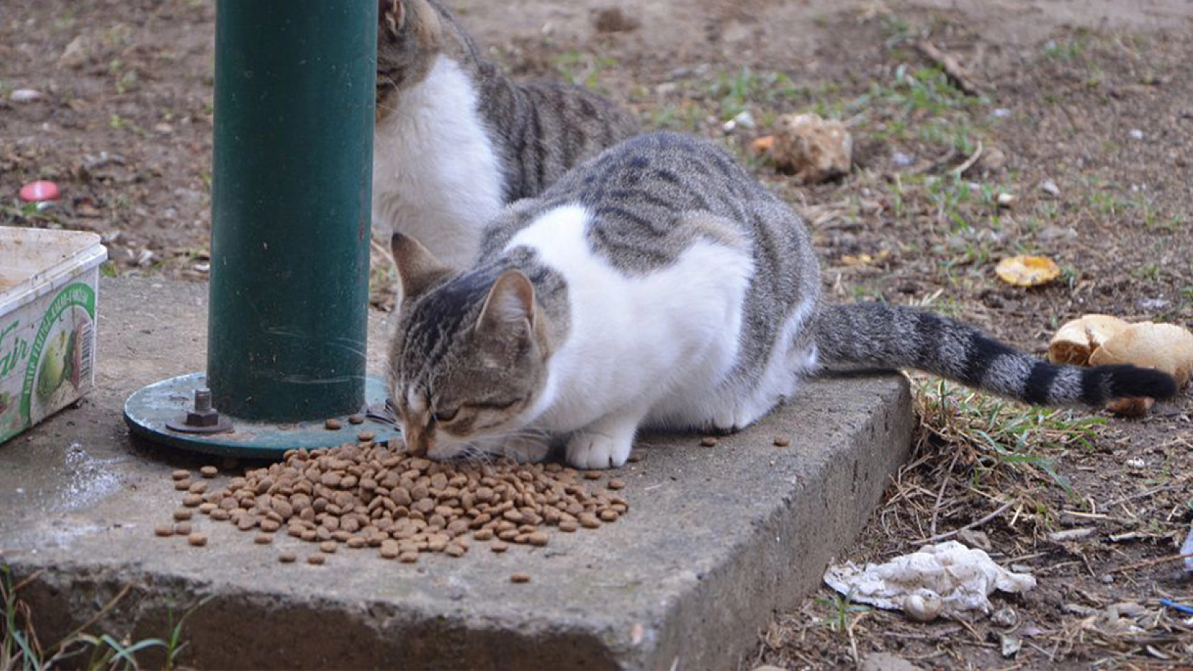 İşte Elazığ dedirten görüntüler