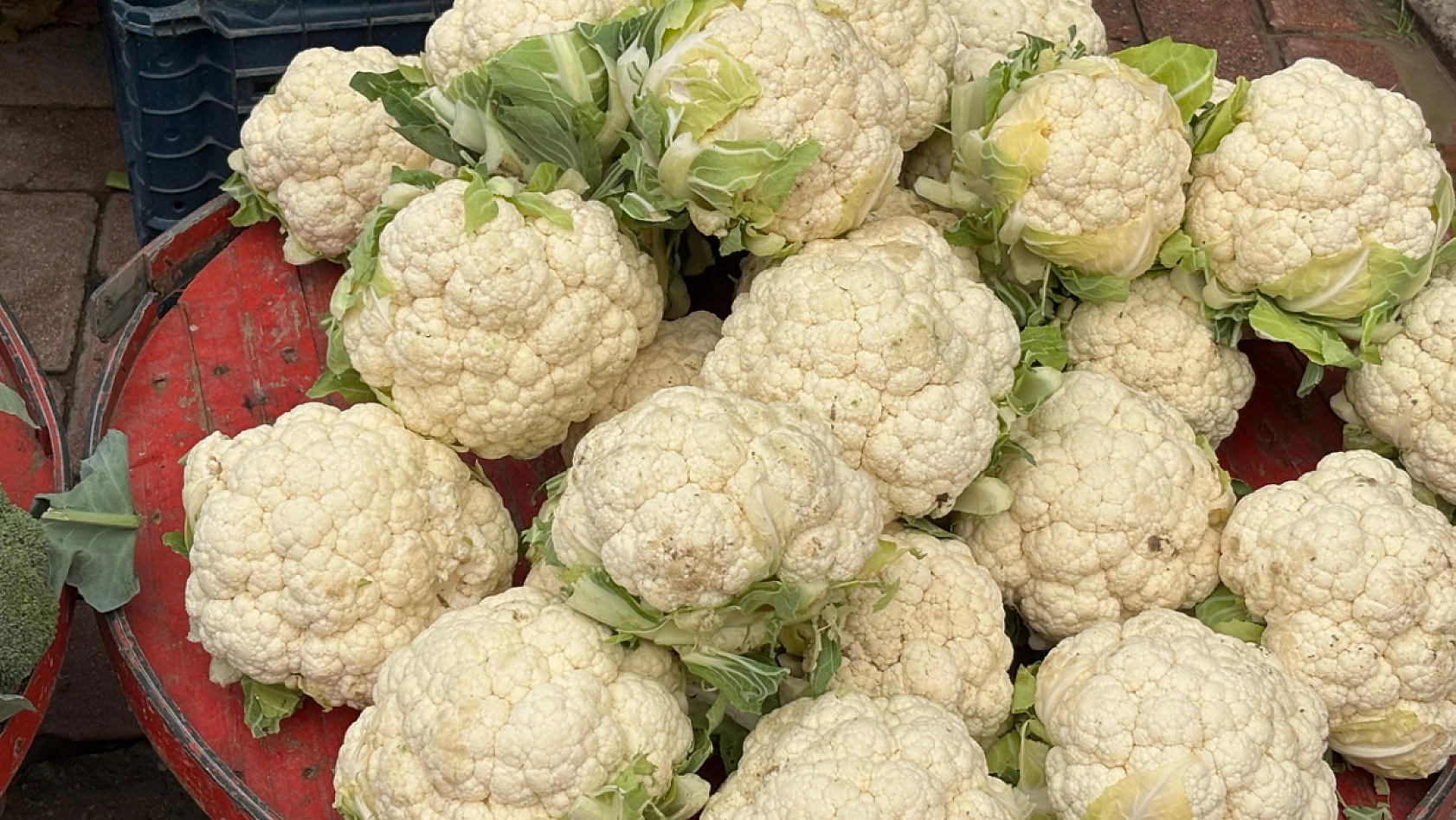 Elazığ'da karnabahar ve brokoliye talep artıyor