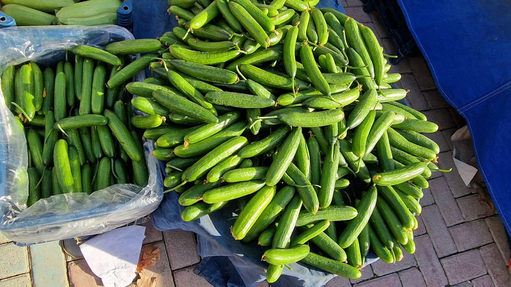 Elazığ'da havalar soğudu, fiyatlar arttı