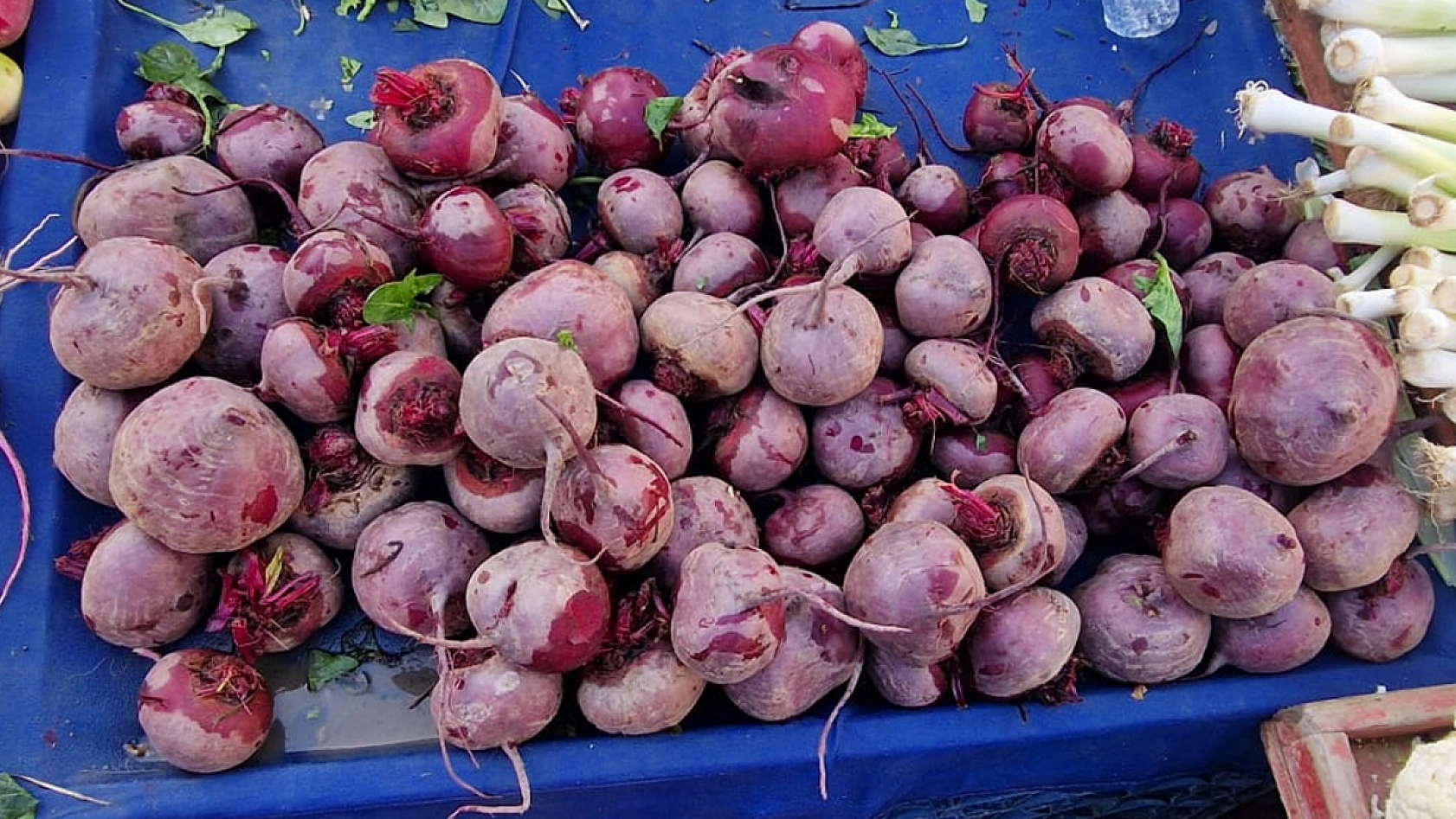 Elazığ'da tezgahların şifalı lezzetine yoğun ilgi