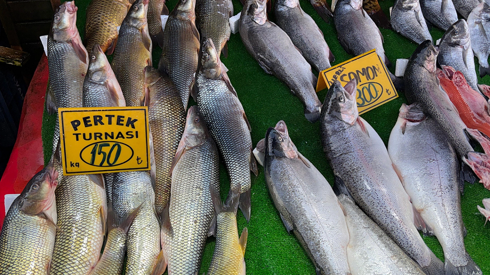 Elazığ'da Balık Azaldı, tezgahlarda durgunluk yaşanıyor