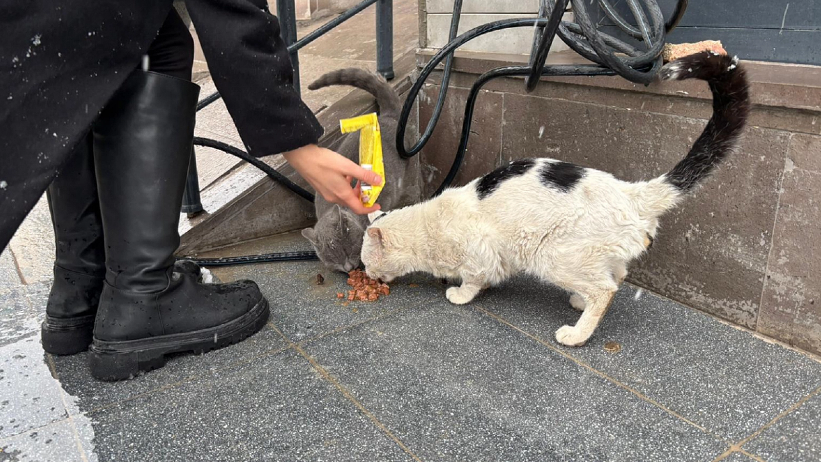 Elazığ'da Yürek Isıtan anlar
