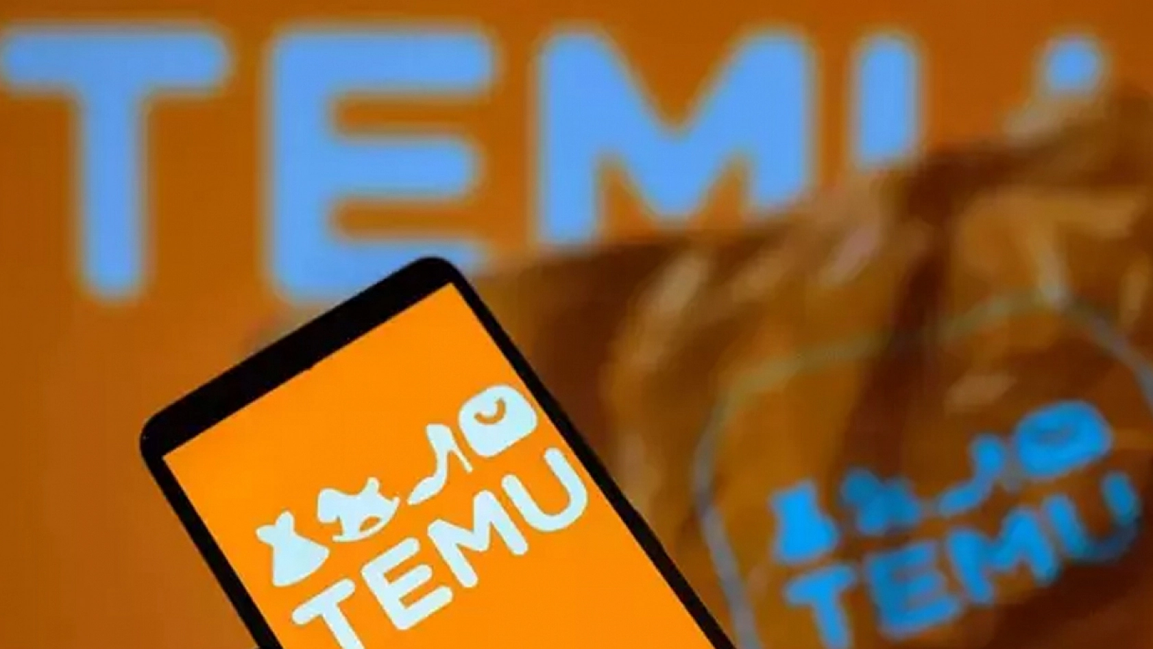 Temu'dan Türkiye'de dikkat çeken karar