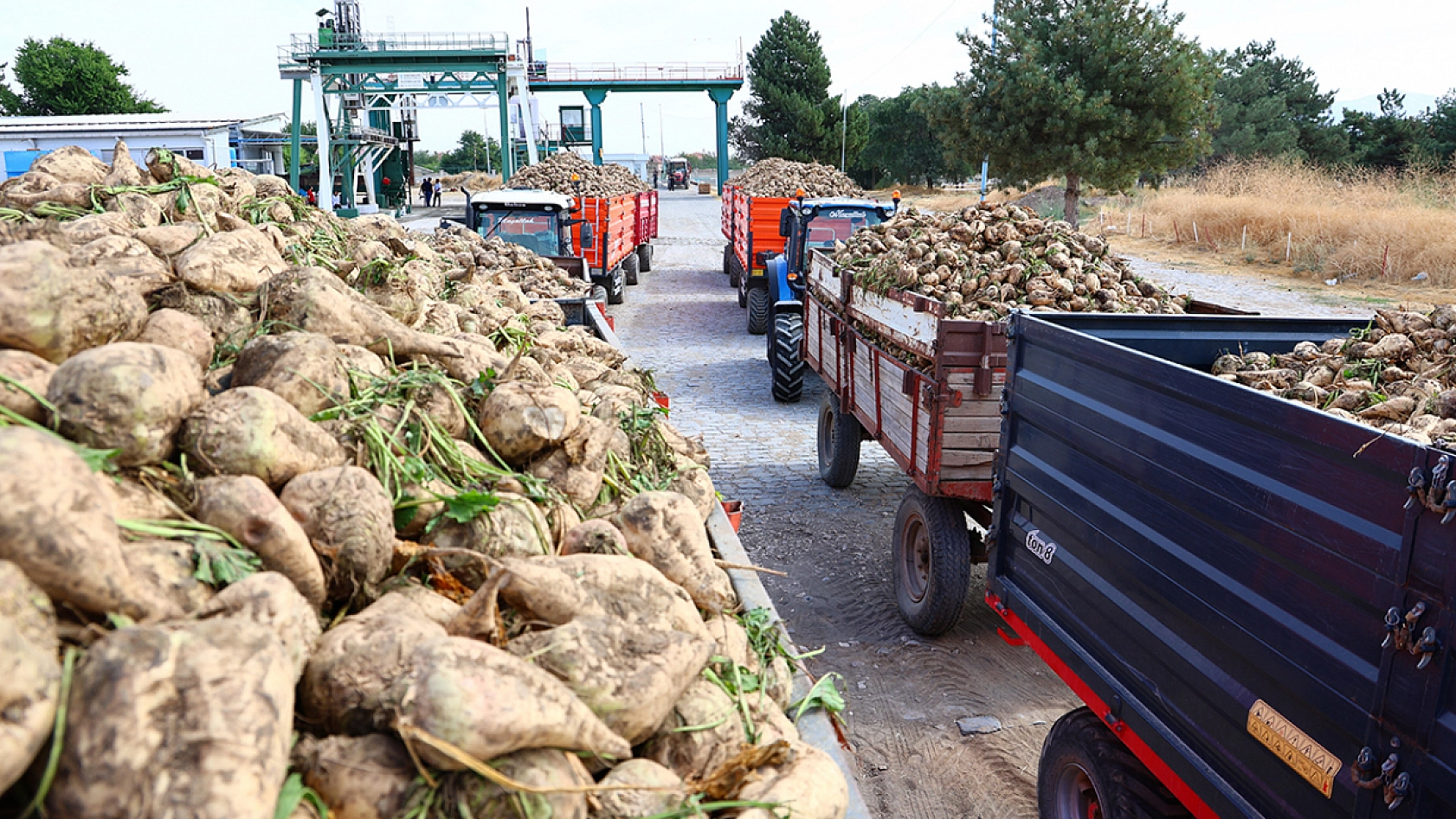 Elazığ Şeker Fabrikası 71. pancar kampanyasını başlattı