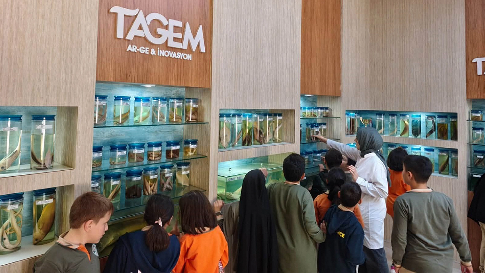 Elazığ'da ilkokul öğrencileri balıkları yakından tanıdı