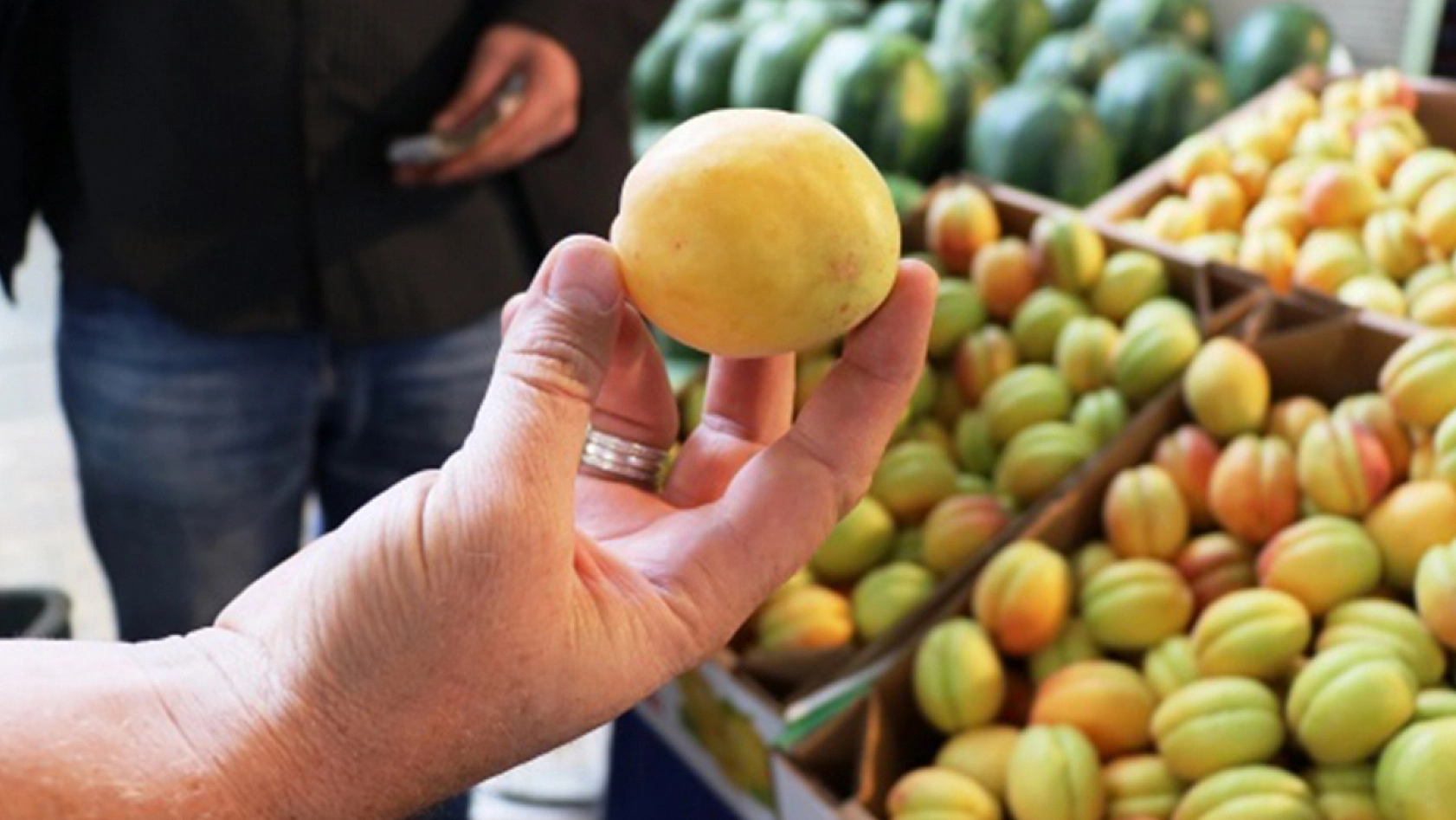 Elazığ'dan dünyaya kapış kapış satılıyor: Şifaları saymakla bitmiyor