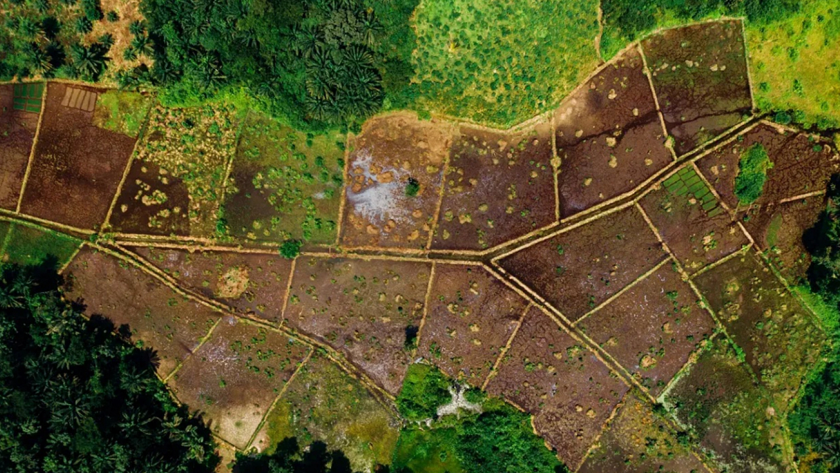 Milli Emlak Elazığ'da konut alanını satışa çıkardı