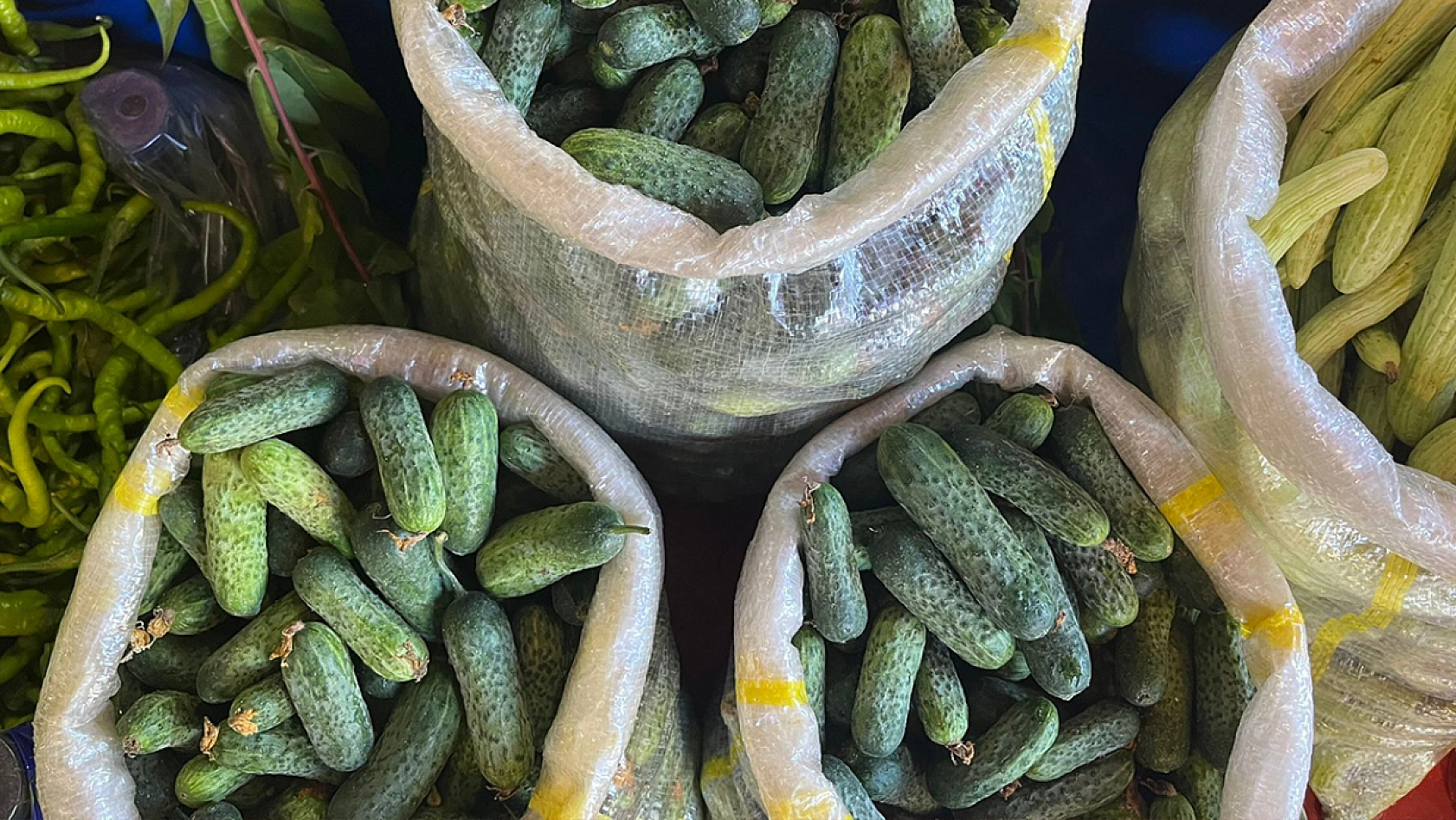 Elazığ'da turşu kurmak ne kadara mâl oluyor?