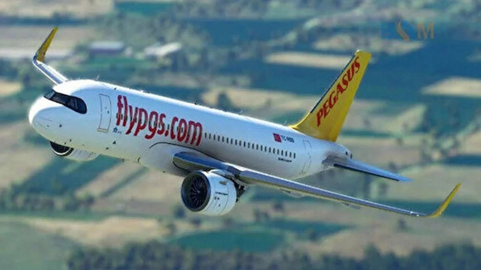 Pegasus duyurdu: Ucuz bilet kampanyası başladı