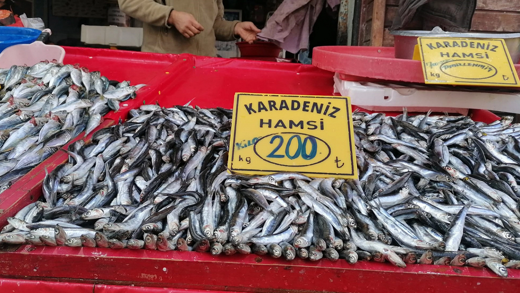 Elazığ'da güncel balık fiyatları