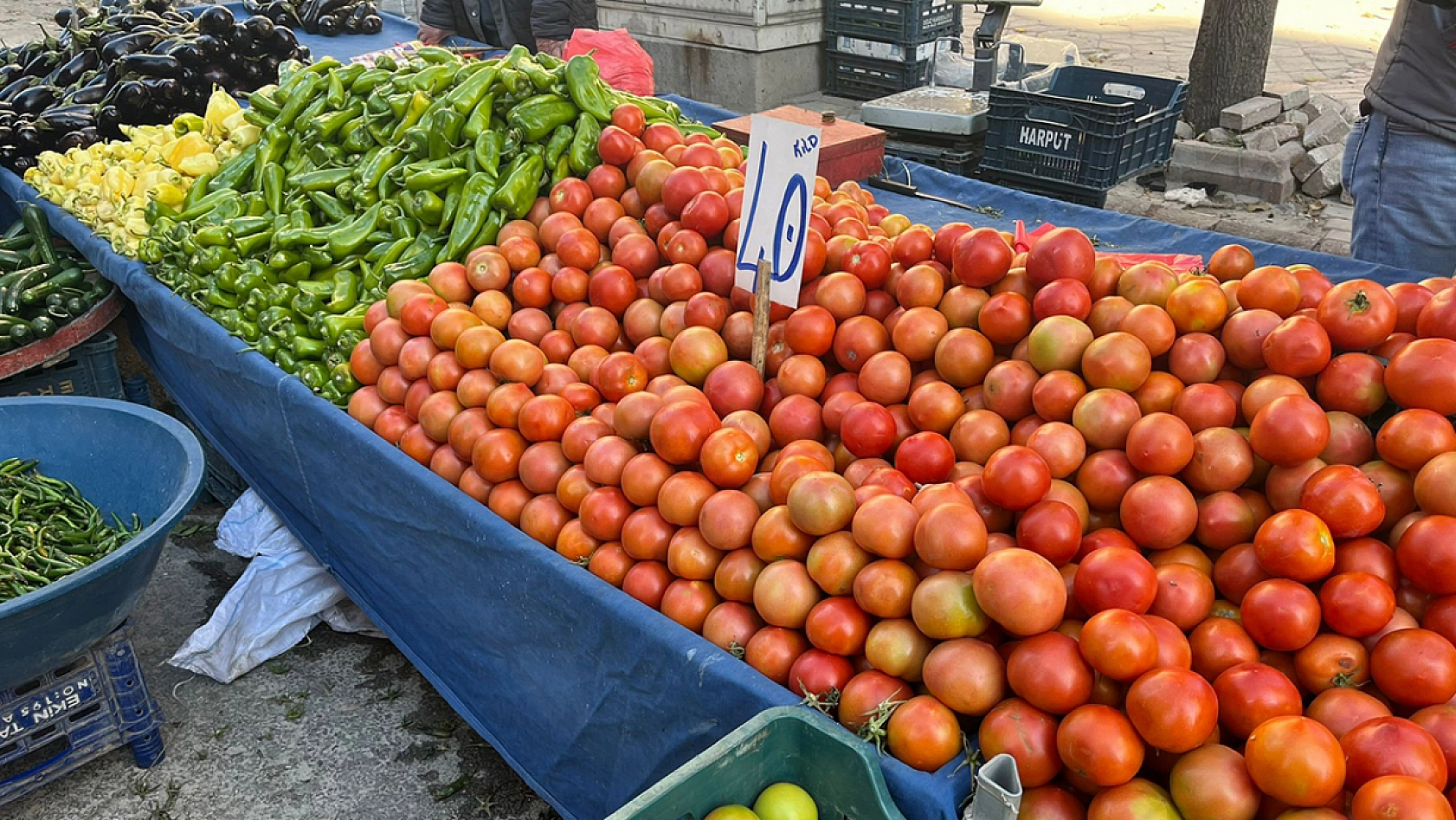 Elazığ'da haftanın ilk pazarında güncel fiyatlar nasıl?