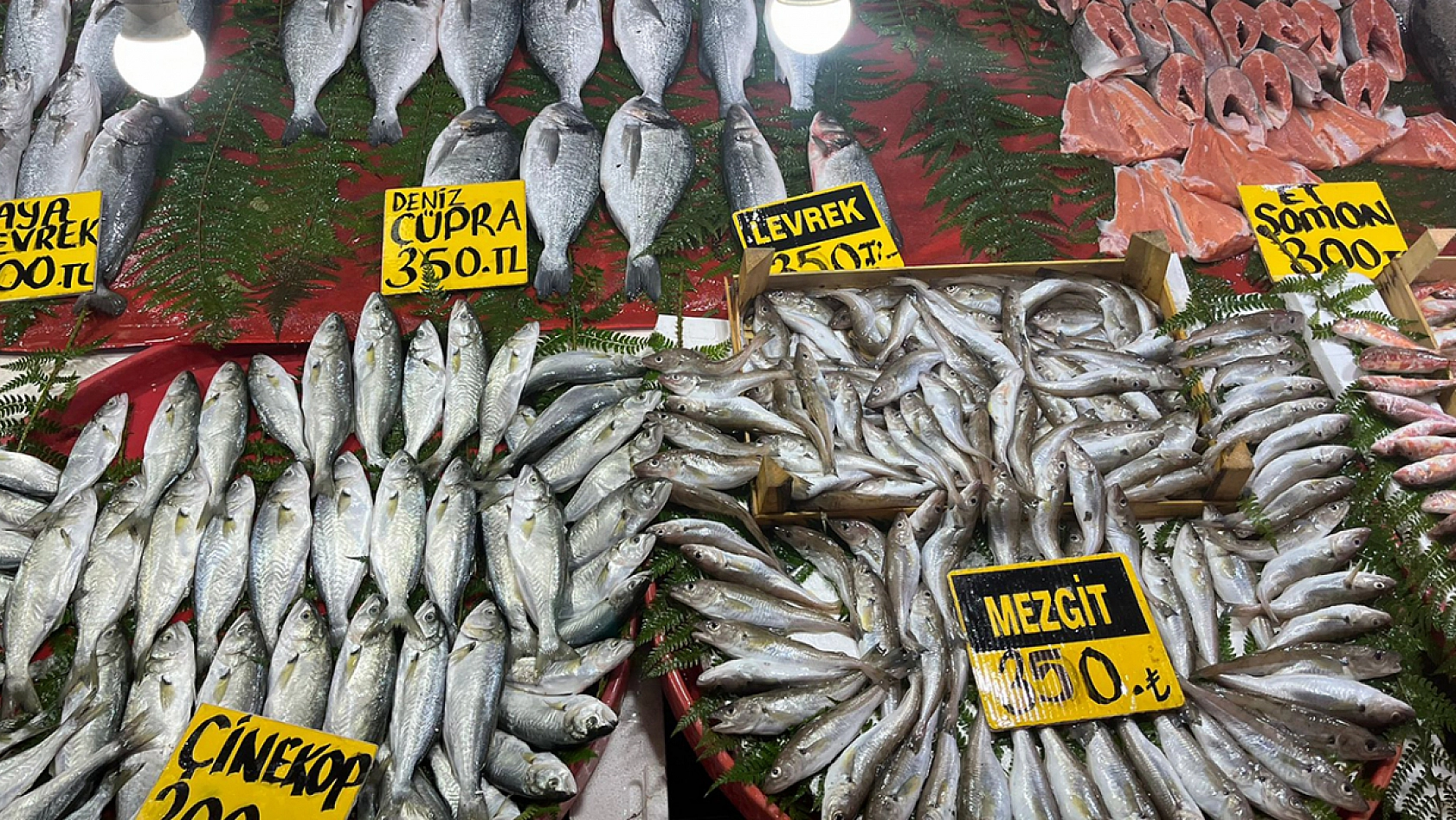 Elazığlıların vazgeçilmez balığı cep yakıyor