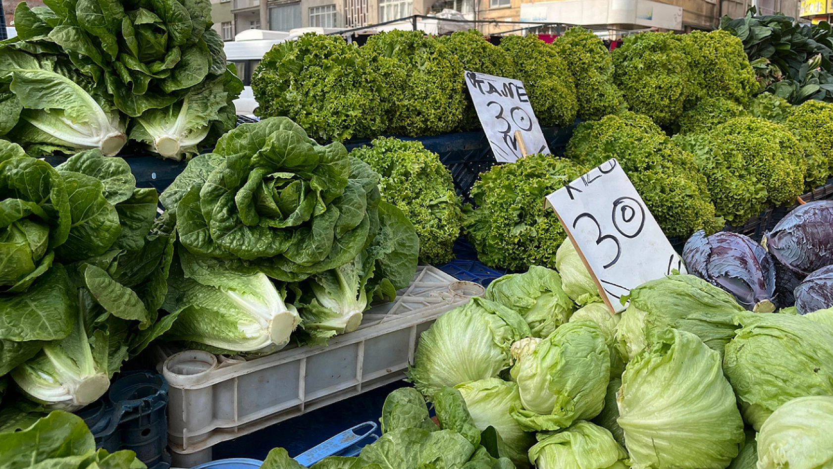Elazığ semt pazarında güncel meyve ve sebze fiyatları