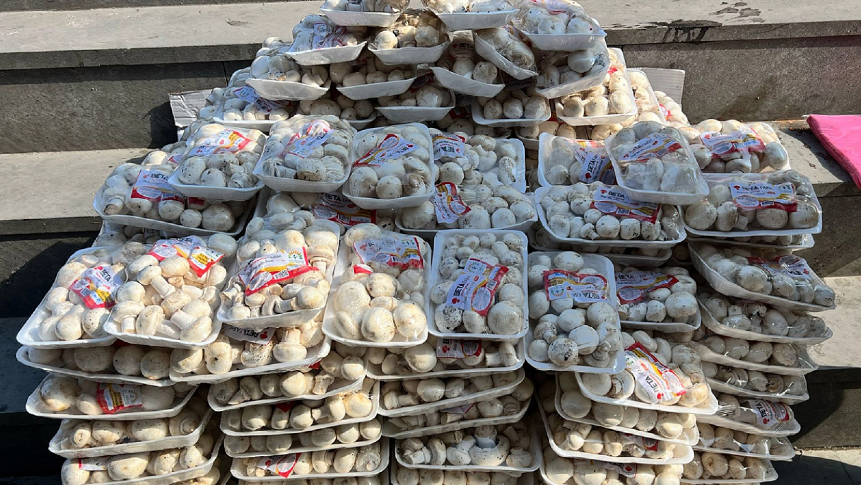 Elazığ'da 3 paketi 100 lira, yetişen alıyor!