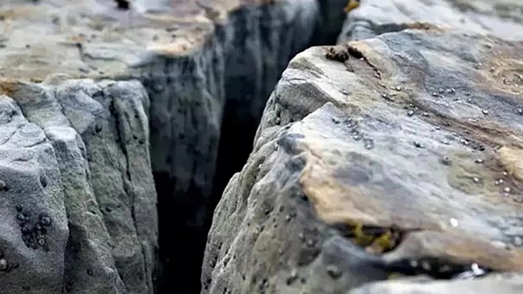 Ucu Elazığ'a kadar uzanıyor: Türkiye'yi Orta Doğu'dan ayıracak büyük deprem gündemde