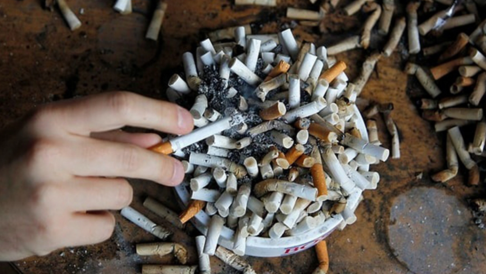 Elazığ'da 'duman avı' başladı!