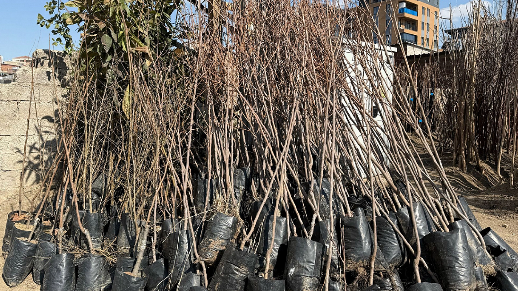 Elazığ'da soğuk hava o sektörü de dondurdu