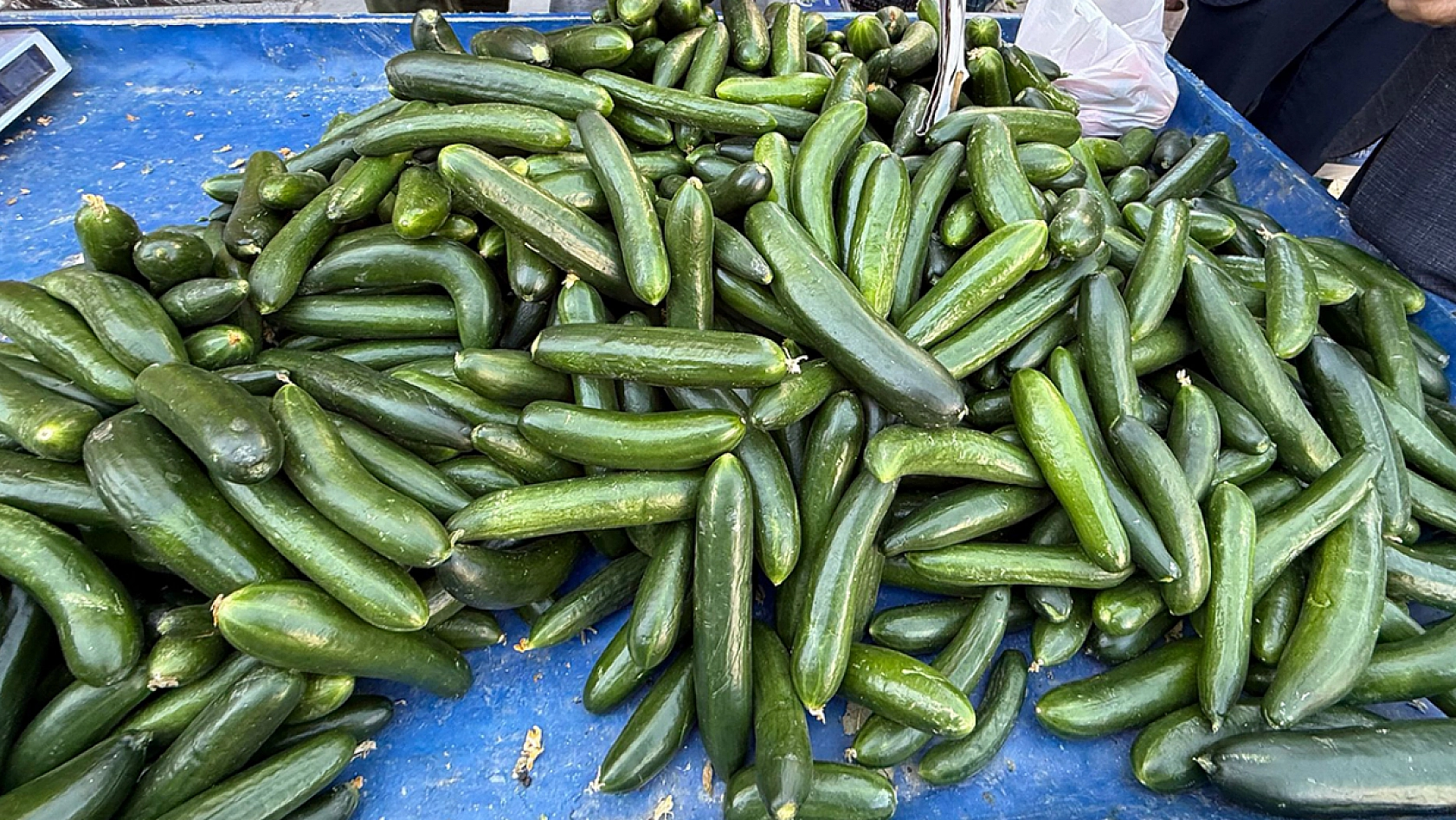 Elazığ'da fiyatını gören, satın almak için sıraya girdi!