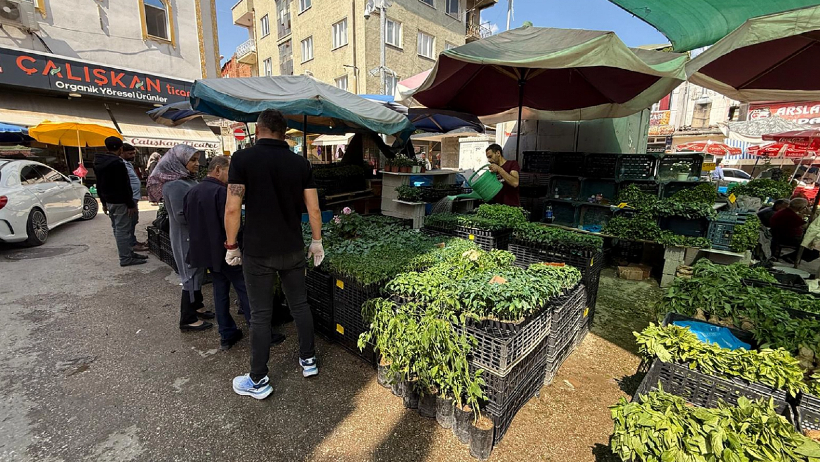 Elazığ'da Şıra Meydanı Cıvıl Cıvıl