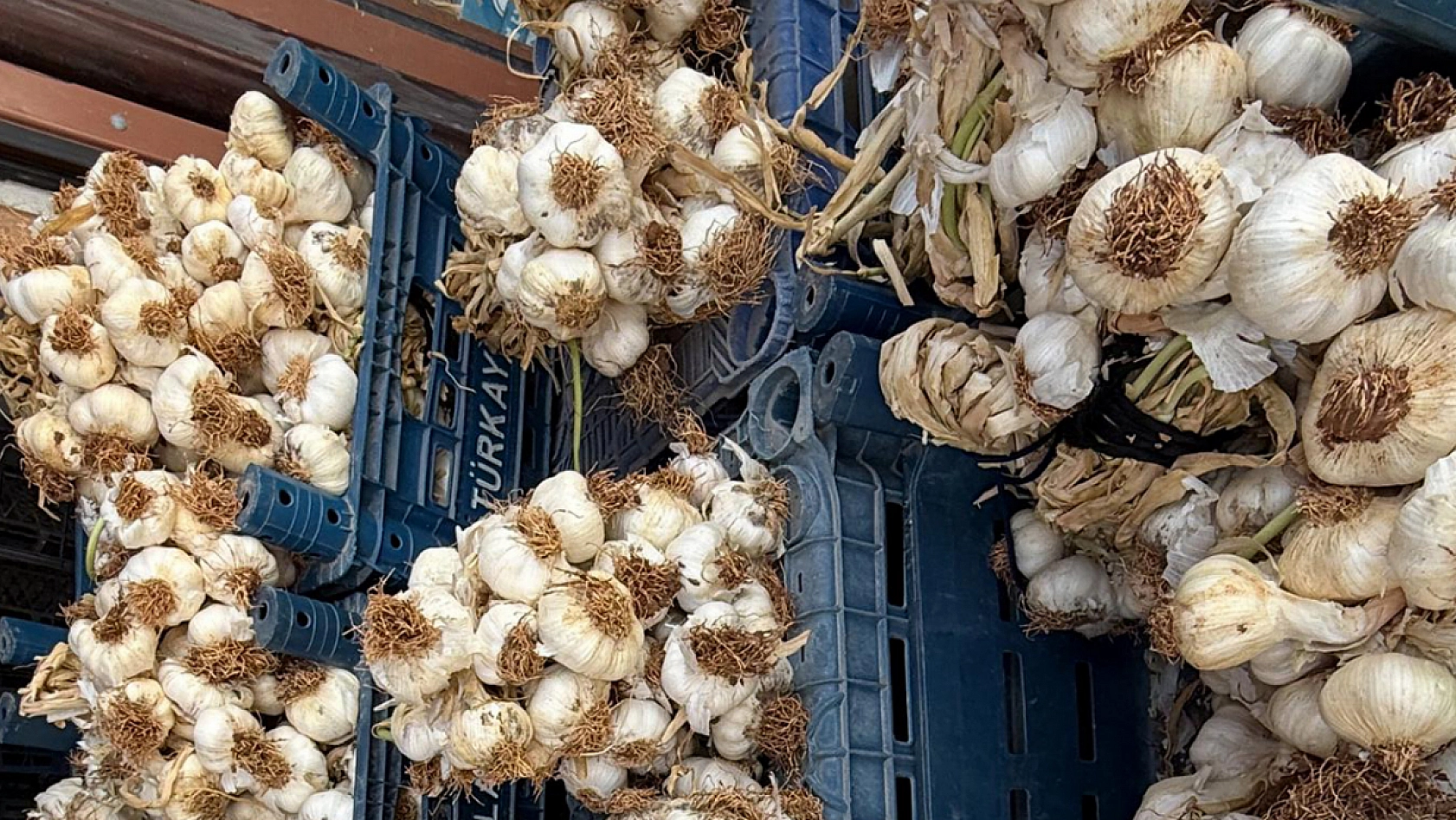 Elazığ'da soğanıyla ünlü köyümüz eski günlerine dönmek istiyor