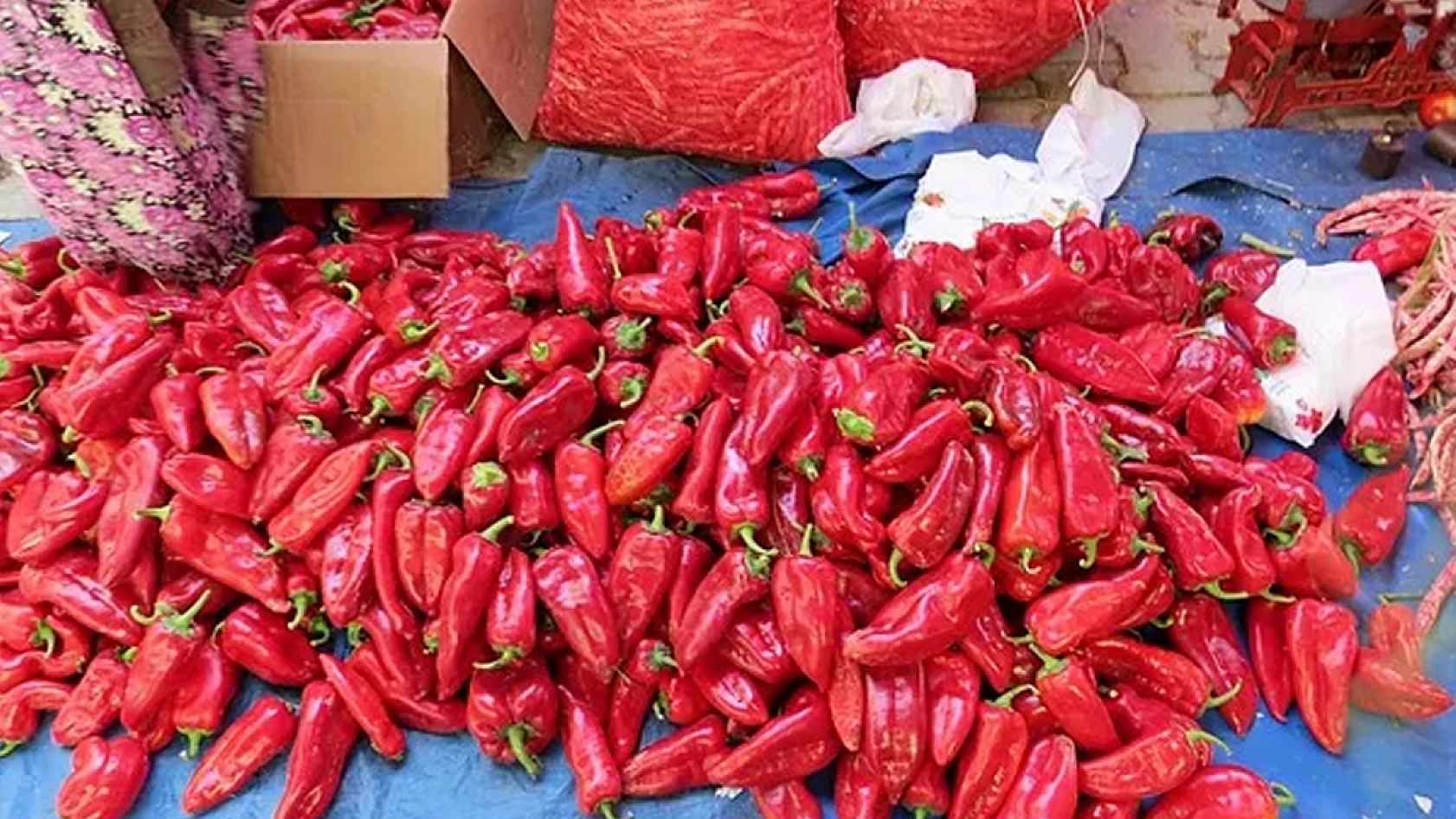 Elazığ'da gelenek devam ediyor: biber salçası yapımı başladı