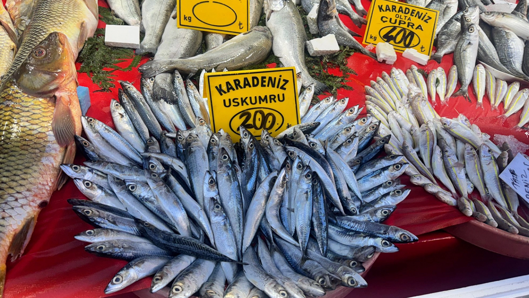 Elazığ'da bu sektörde fiyatlar düştü