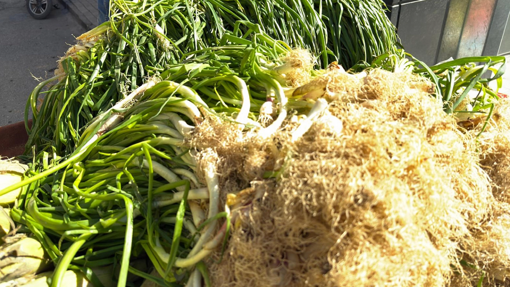 Elazığ'da fiyatı 40 liraya düştü, deste deste alındı