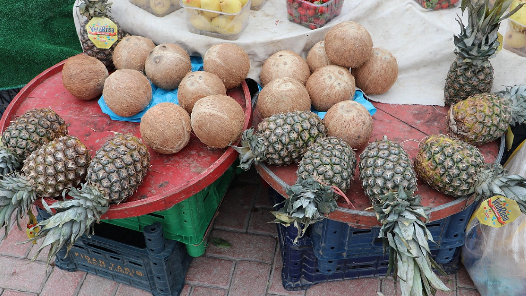 Elazığ'da tropikal meyvelere yoğun ilgi
