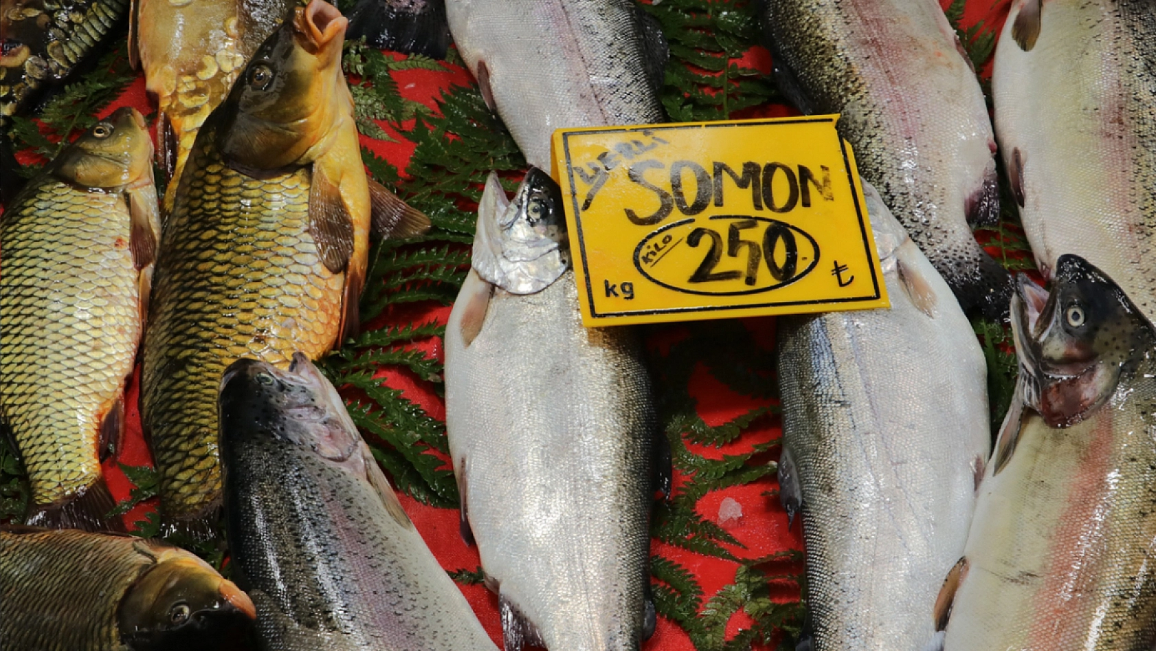 Elazığ'da balığa talep azaldı mı?