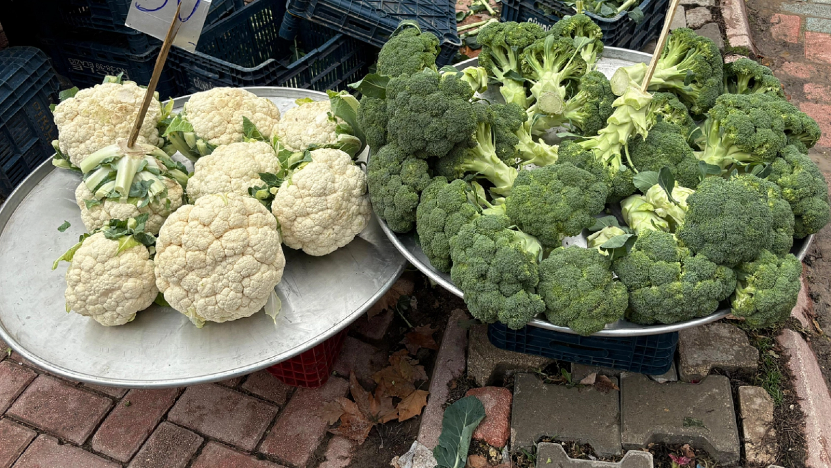 Elazığ'da karnabahar ve brokoliye talep artıyor