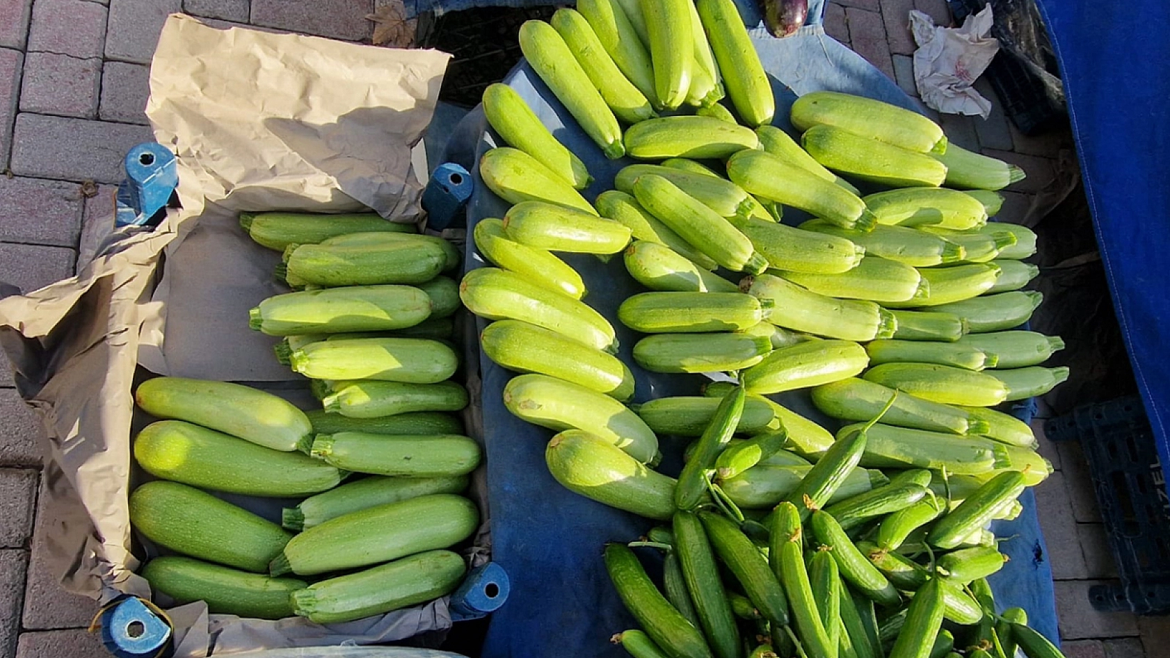 Elazığ'da havalar soğudu, fiyatlar arttı