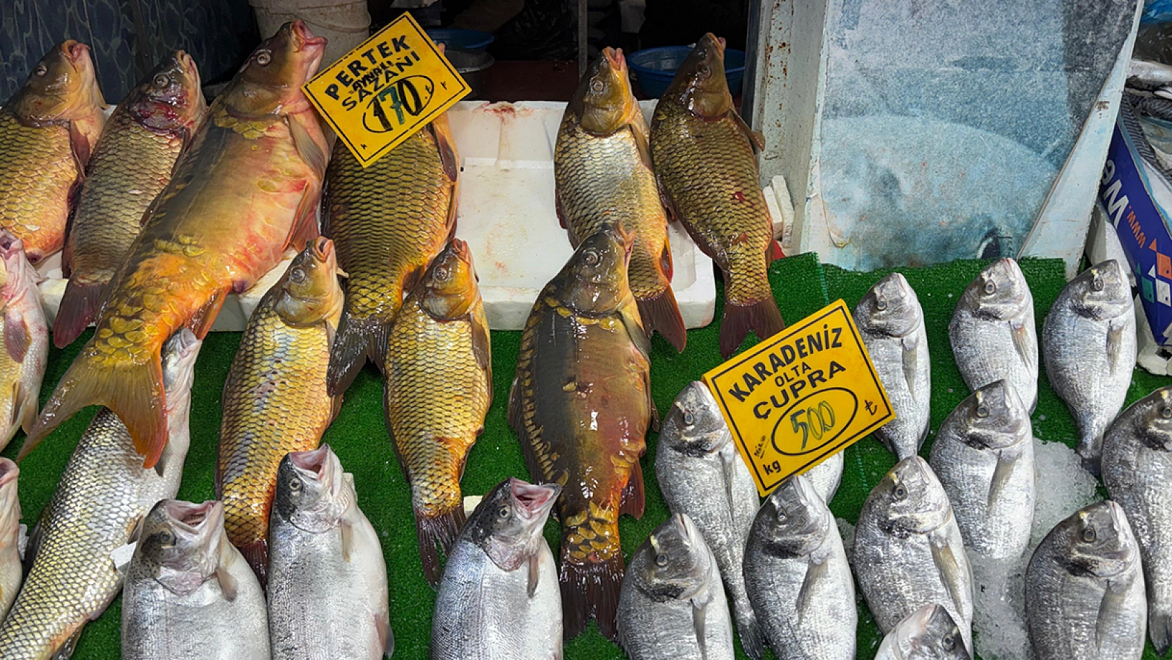 Elazığ'da Balık Azaldı, tezgahlarda durgunluk yaşanıyor