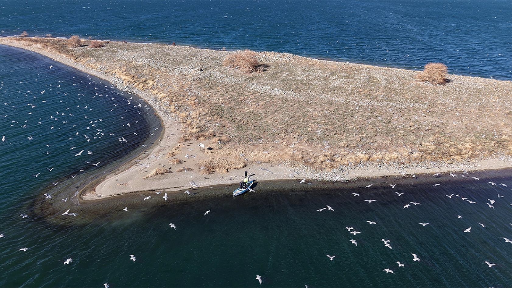 Doğu'nun gizli denizinde şefkat eli